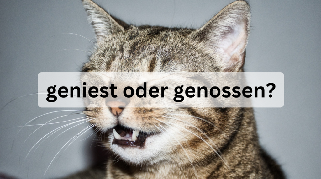 Das Selbe oder dasselbe? Die richtige Schreibweise 2024